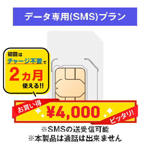 プリペイドSIM　データ専用(SMS)